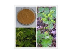 柚子提取物_中國貿(mào)易網(wǎng)